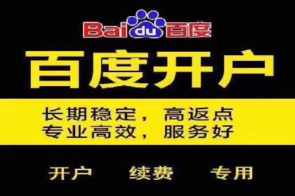 sem运营公司：效果为王的策略